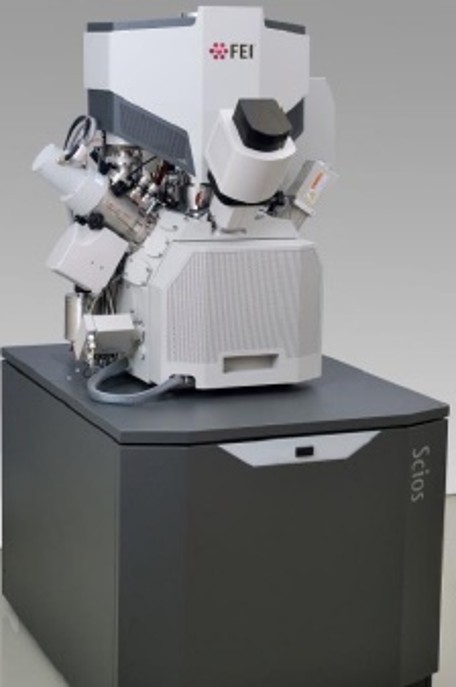 Scanning electron microscope